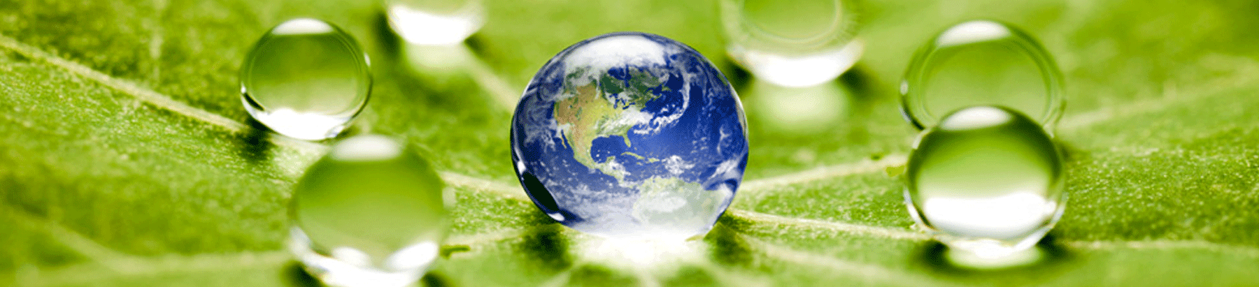 Eco-