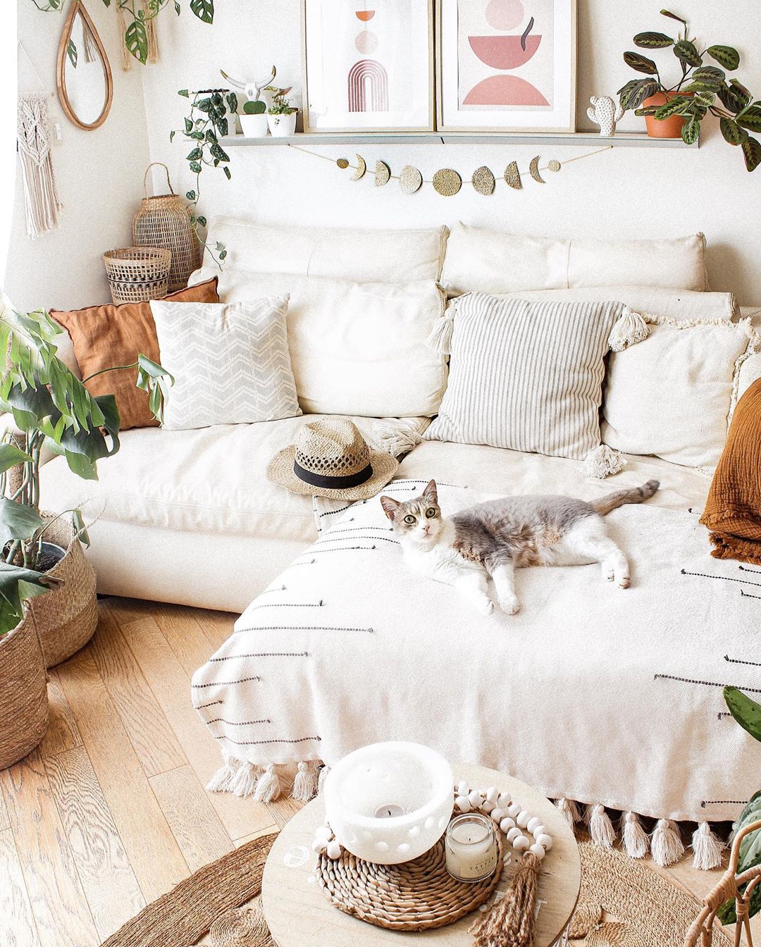 Cozy Home
