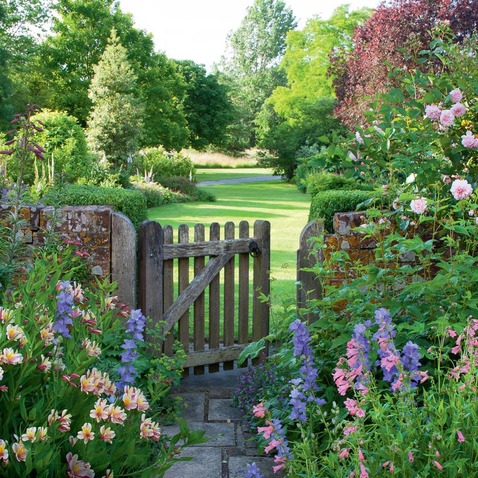 What Are Cottage Garden Plants? | Deluxe House