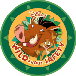 Safety Smart: About Fire! - Disney Wild About Safety