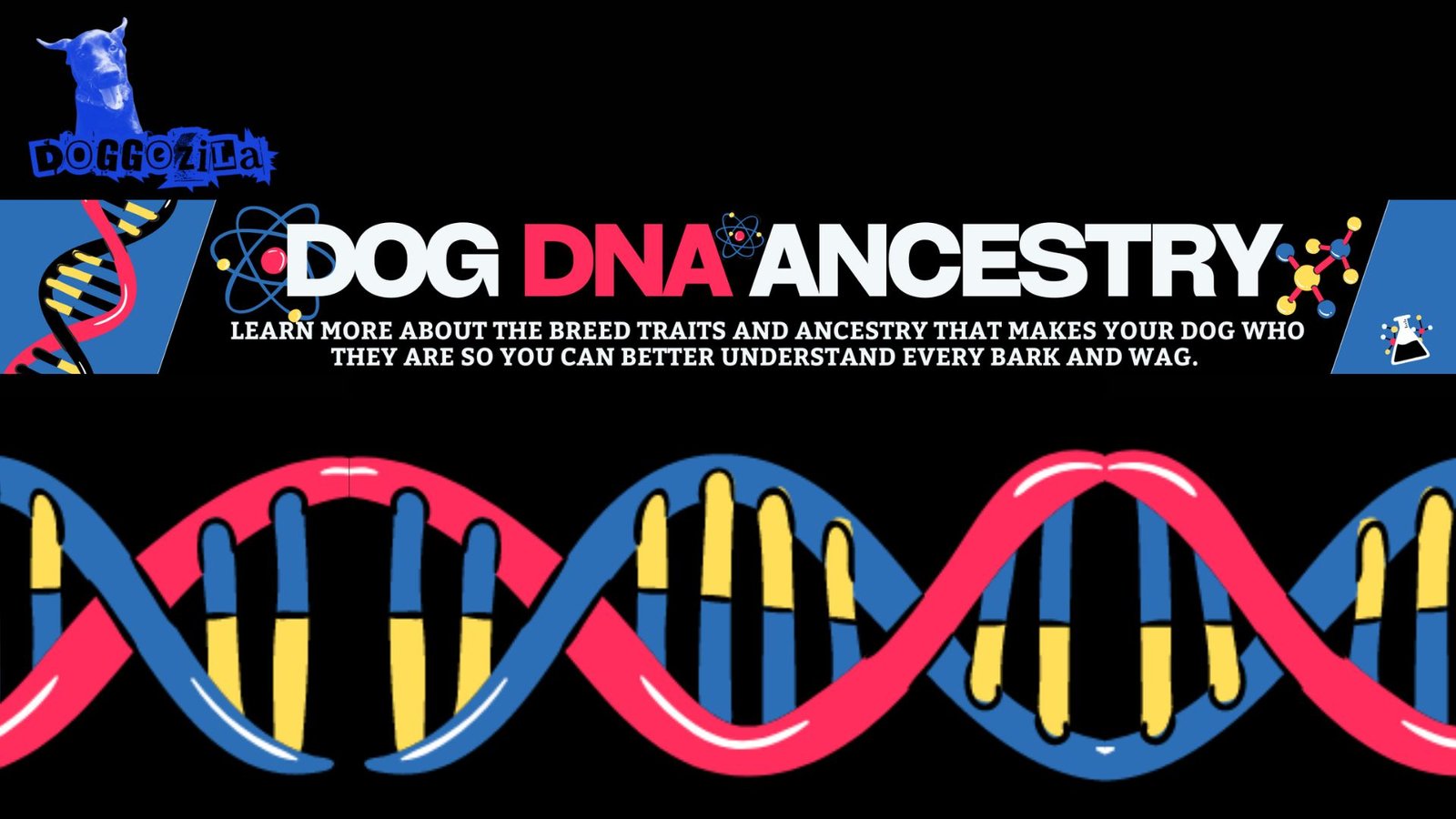 DOG DNA ANCESTRY