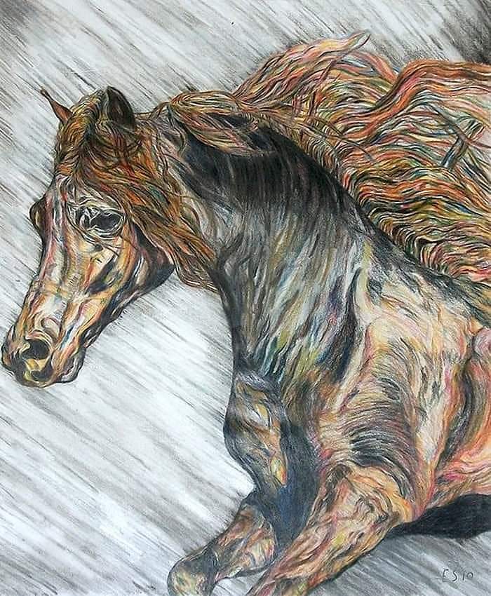 Horse - Dreamtime Aboriginal Art