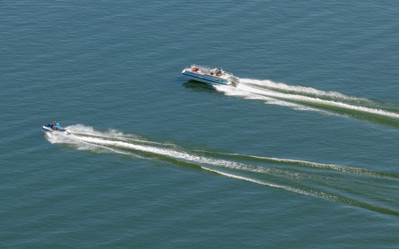 Beware Of Wake | Virginia DWR