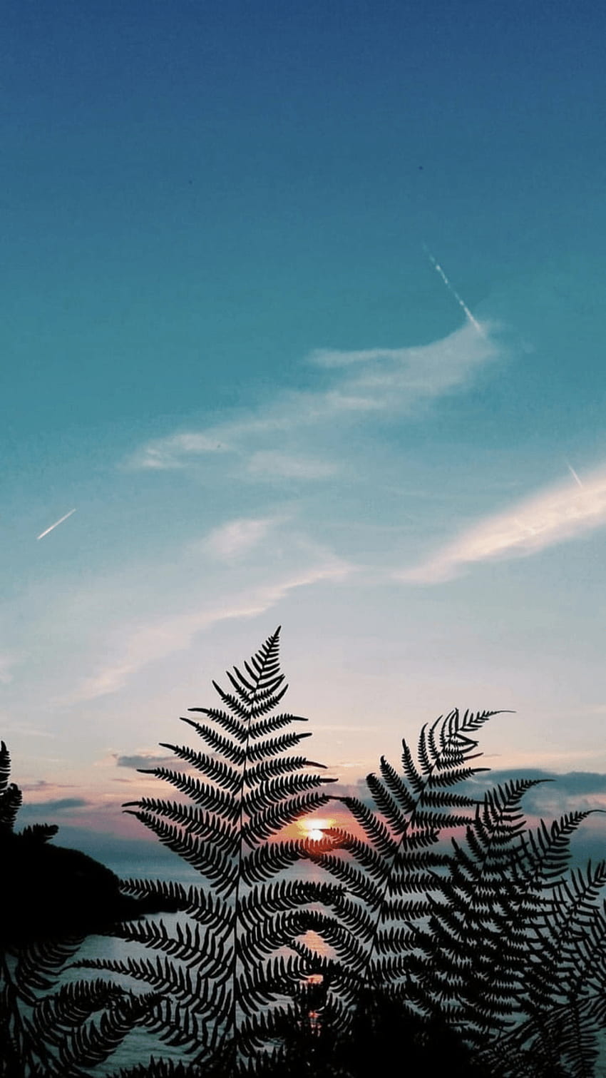 Nature Wallpaper Aesthetic - Infoupdate.org