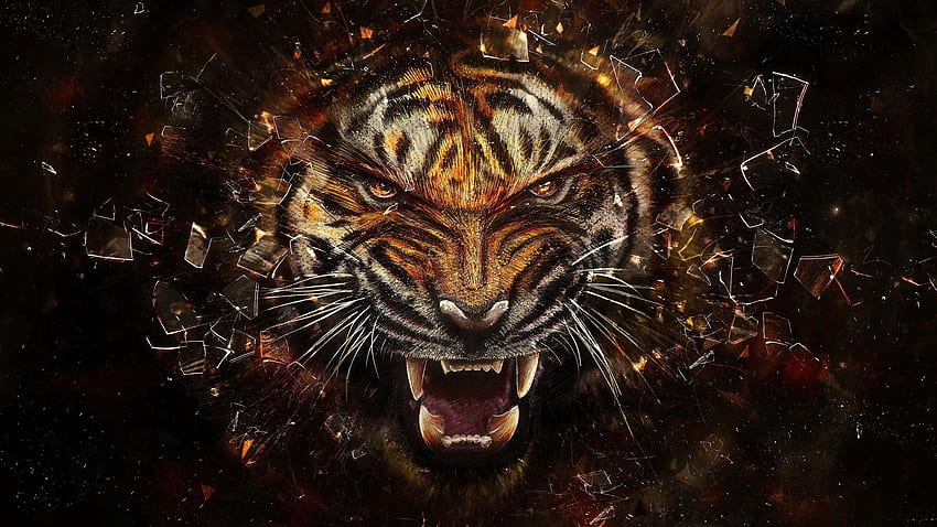 Textur, Texturen, Glas, Risse, Riss, Scherben, Smithereens, Gebrochen HD-Handy-Hintergrundbild...