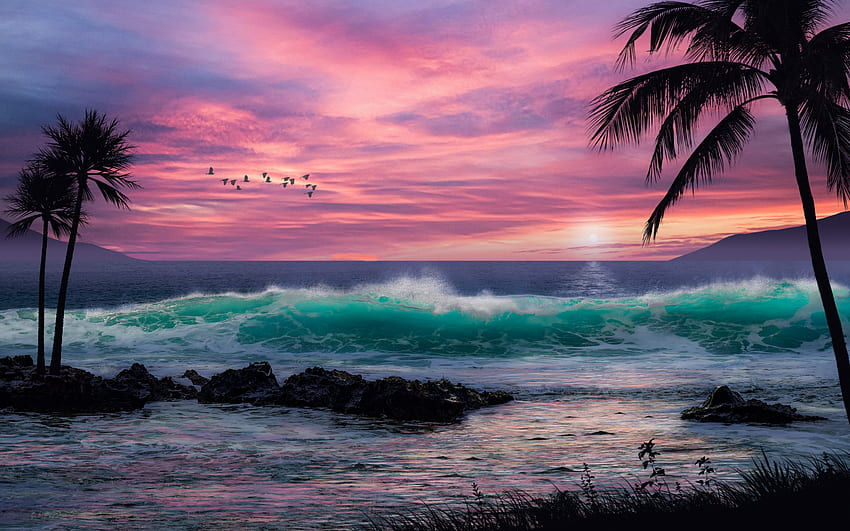 Tropical islands, evening, sunset, ocean, waves, beach, pink sunset, summer travel, sea HD ...