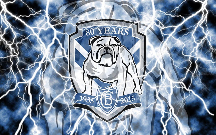 Canterbury Bulldogs 14, Canterbury Bankstown Bulldogs HD Wallpaper| Pxfuel