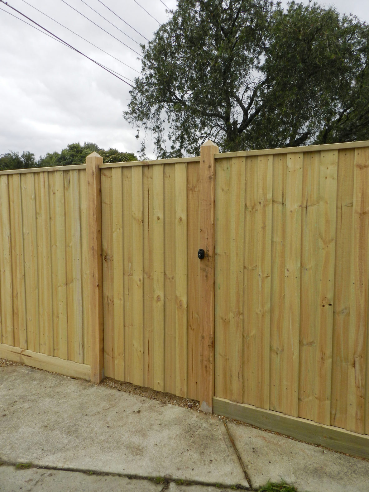 Timber Fencing Treated Pine Paling| Eastside Fencing