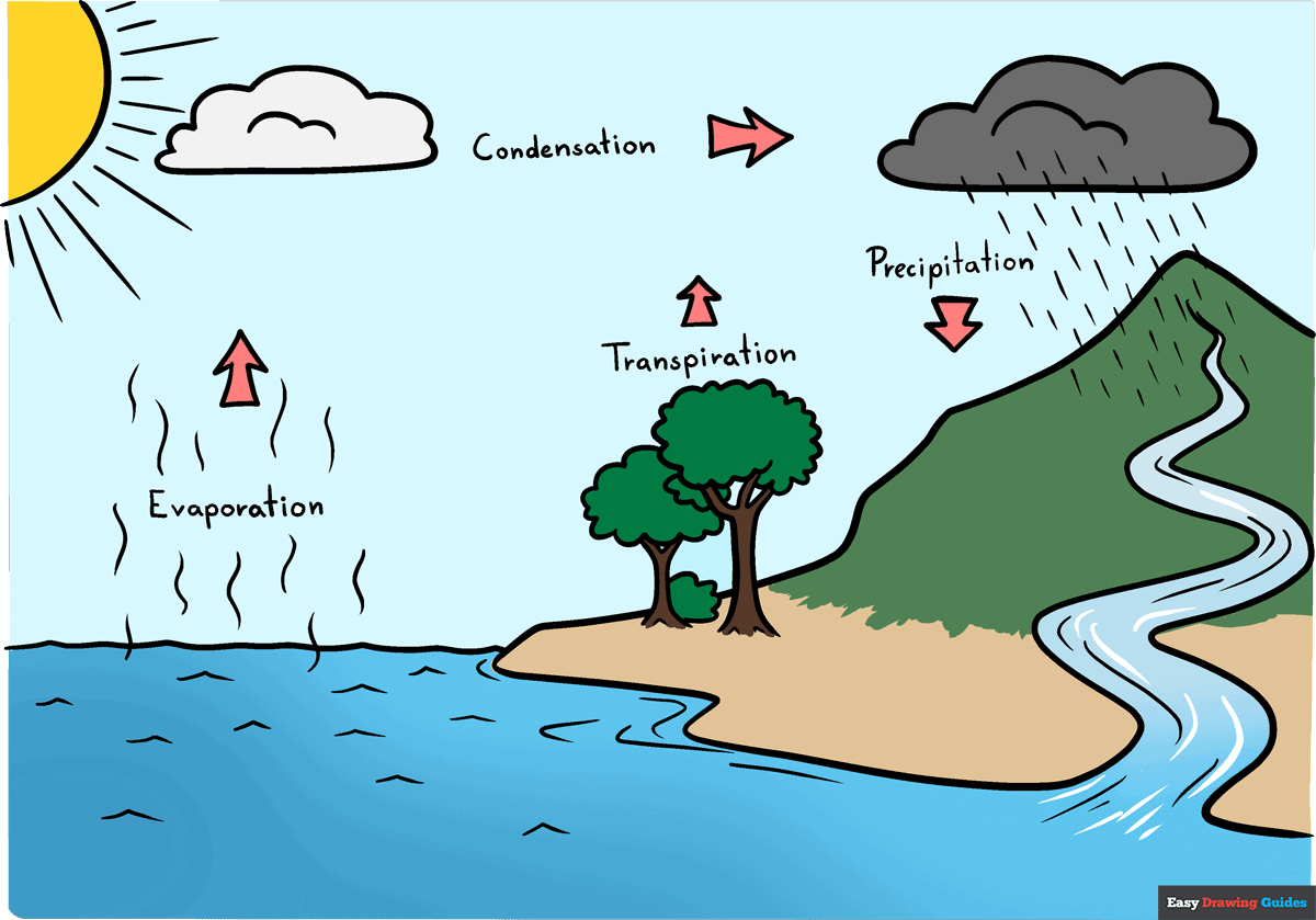 Give The Diagram Of Water Cycle Water Cycle Process And Its