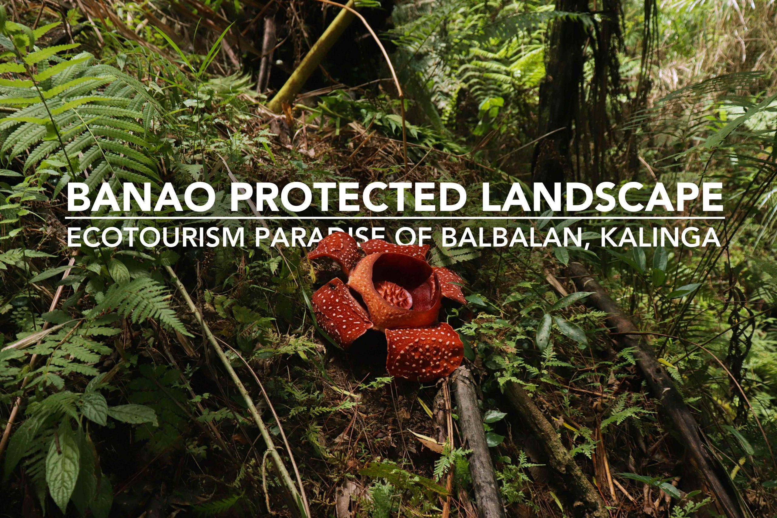 Banao Protected Landscape: A Travel Guide To Kalinga’s Ecotourism Paradise| EAZY Traveler