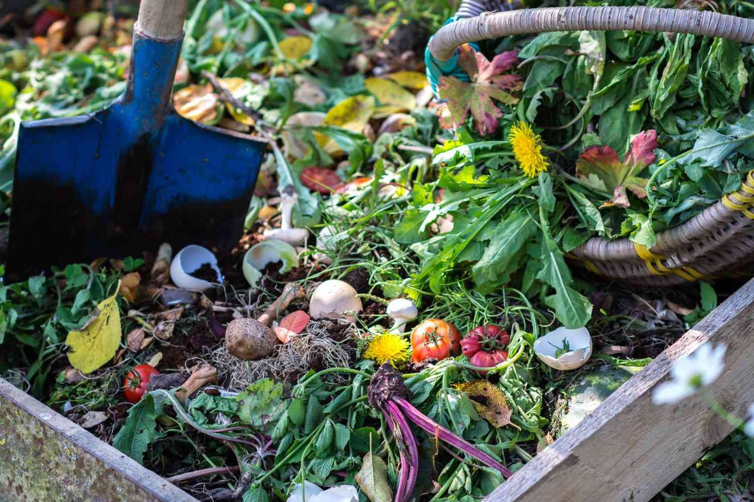 Compost 101: What Is Compost And Where To Start?| Ecording