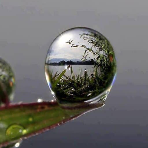What Does “Eco” Mean – Eco TIGA