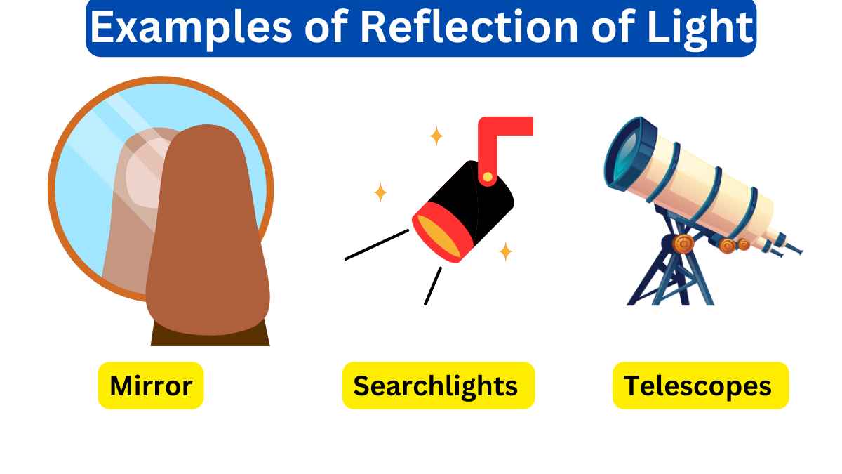 10 Examples Of Reflection Of Light