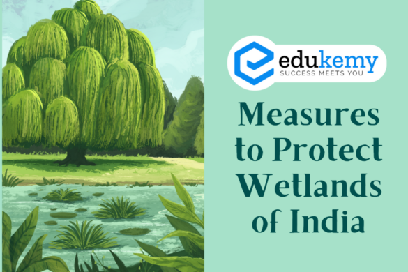 Water Pollution: Causes, Effects & Control Measures