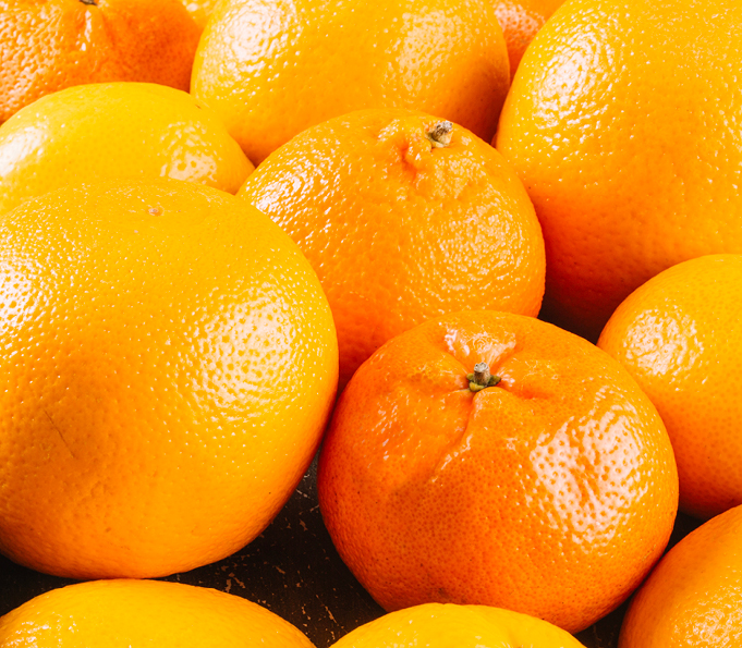 Orange Grading Machine - Every Orange Counts | Ellips-Elisam