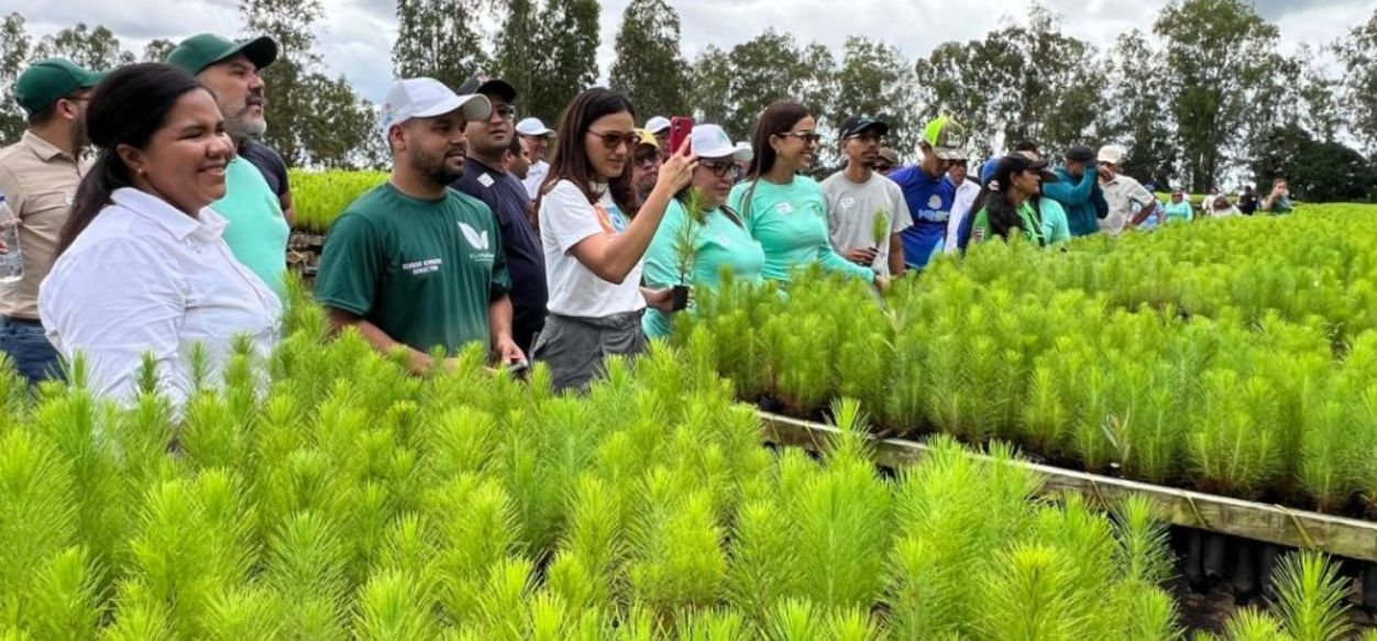 Maderas Del Orinoco Realizó El 1er Taller De Producción De Plántulas Junto Al MINEC - El ...
