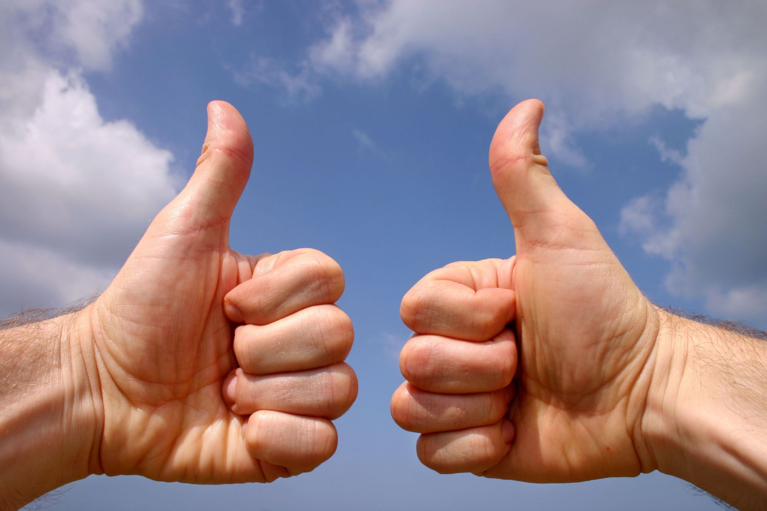 What Is Thumbs - Vrogue.co