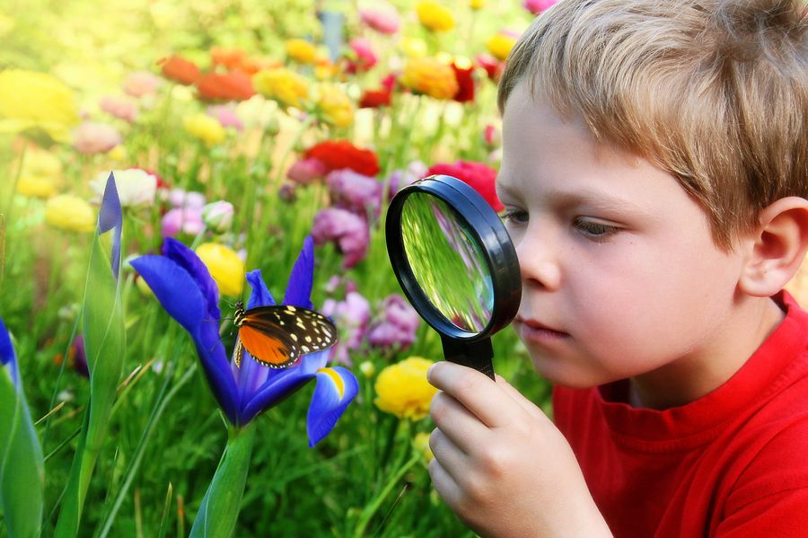 8 Developmental Reasons Why Kids Need To Explore Nature More Often - Empowered Parents