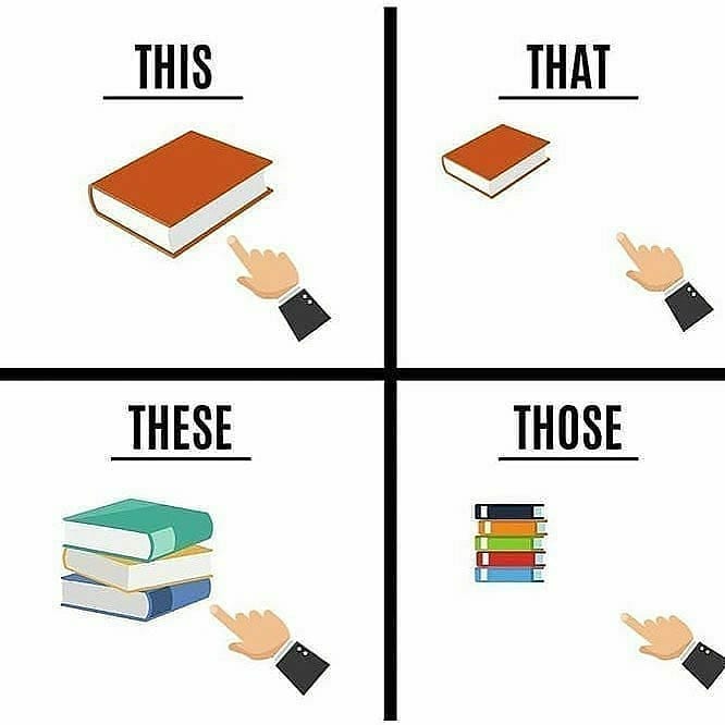 This These That Those Game