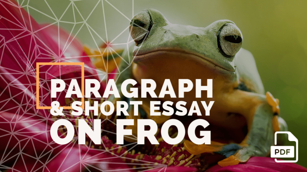 Paragraph & Short Essay On Frog [100, 200, 400 Words] With PDF - English Compositions
