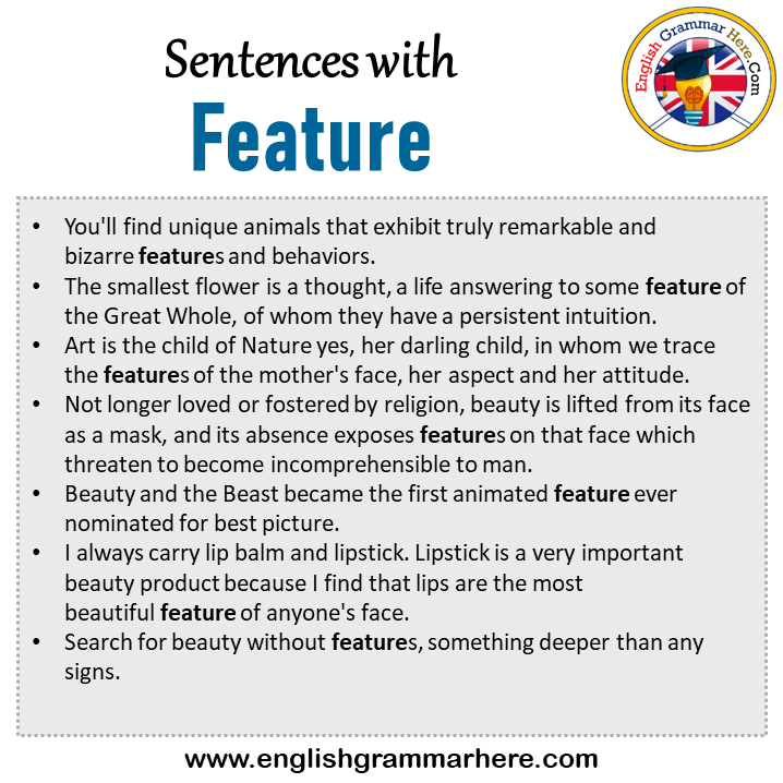 Sentences With Feature, Feature In A Sentence In English, Sentences For Feature - English ...