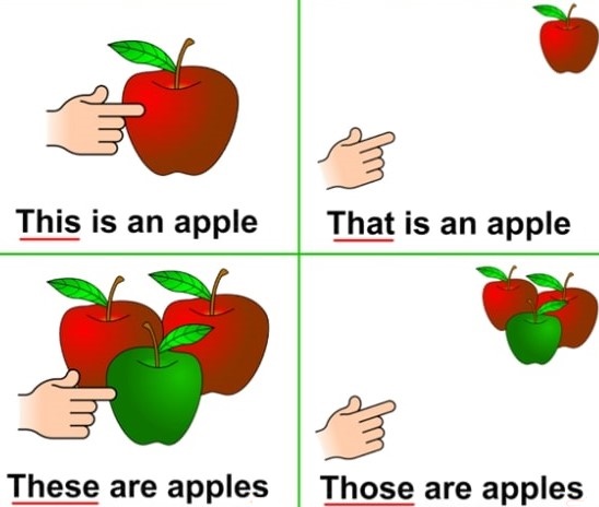 this-that-these-those | English To Connect