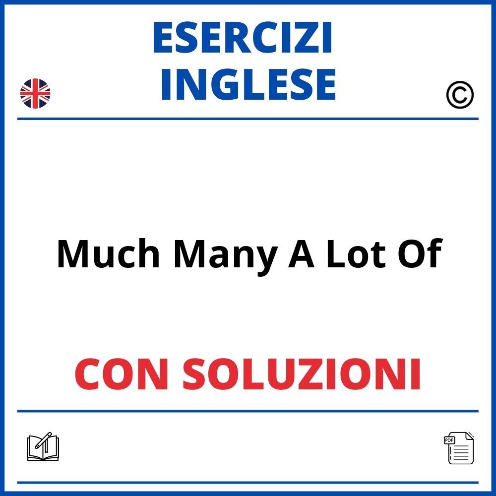 Esercizi Inglese Much Many A Lot Of PDF Soluzioni