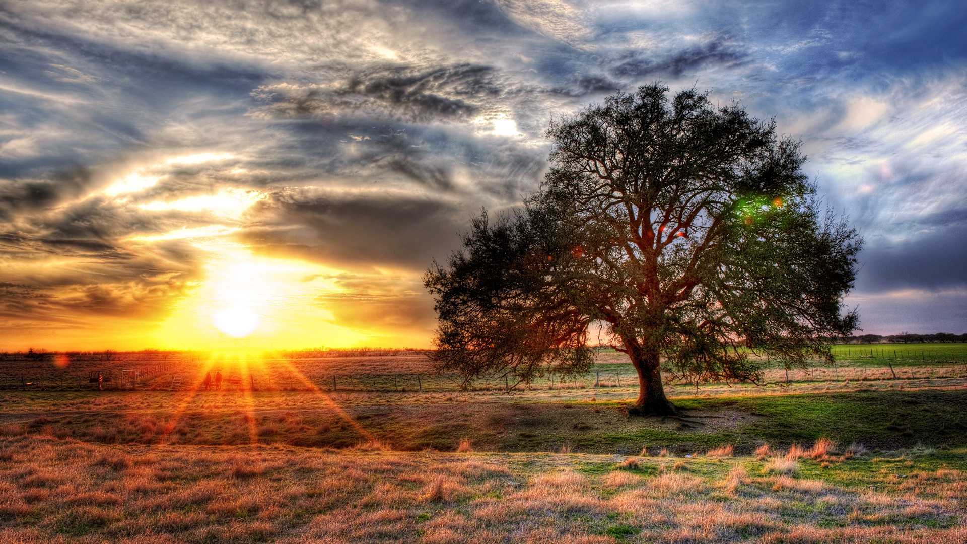 HDR Background Wallpaper | 1920x1080 | #33757