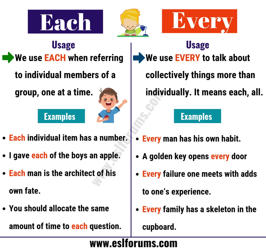 EACH Vs EVERY: How To Use Every Vs Each Correctly? - ESL Forums