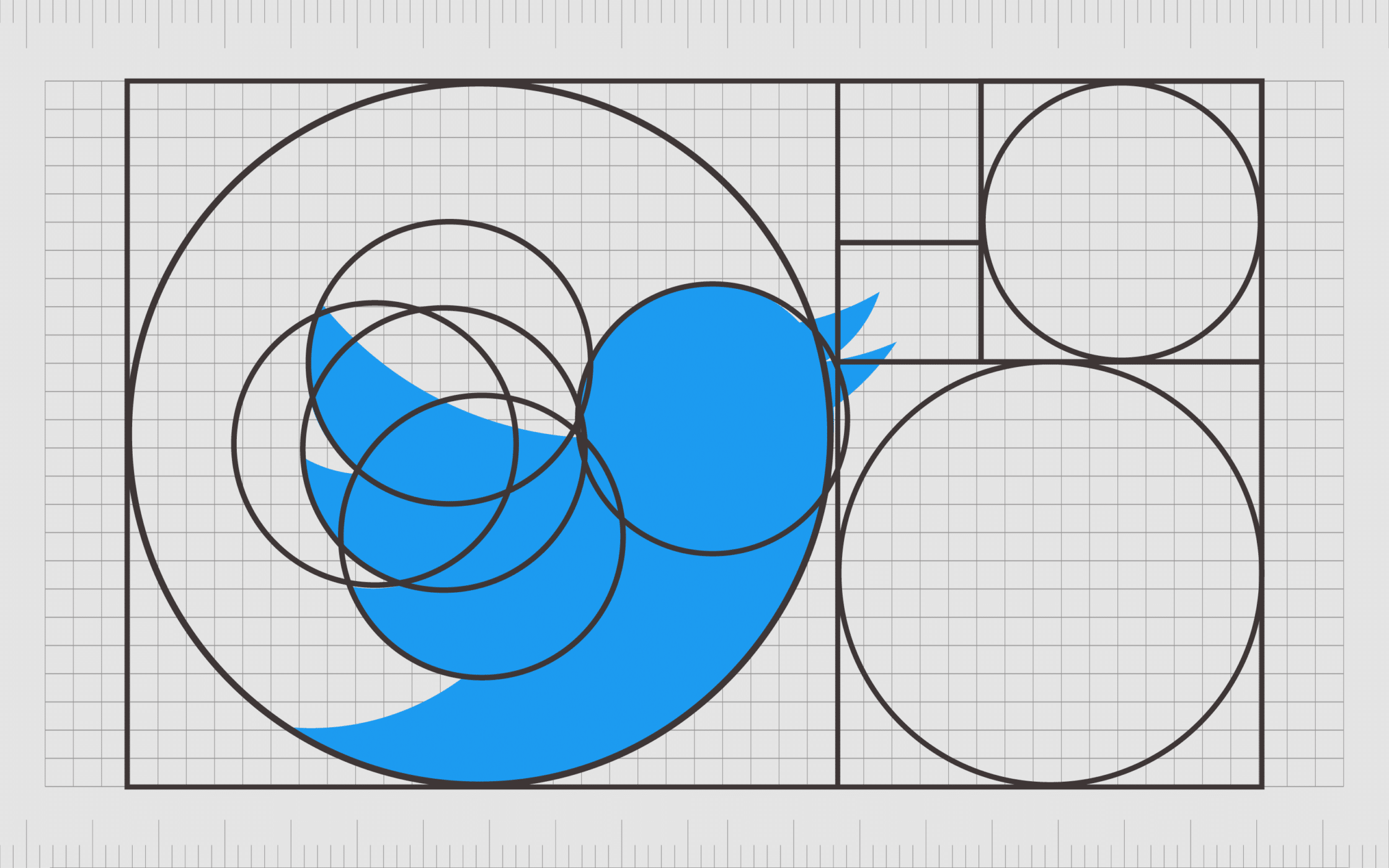 Proportion In Graphic Design: The Principles Of Design Proportion