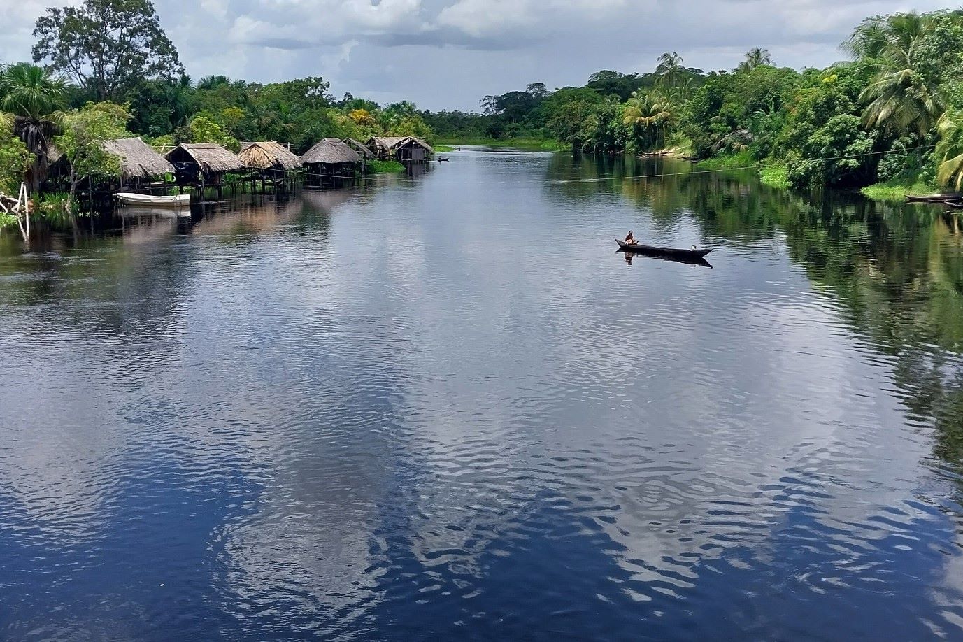 40 Facts About The Movie Piranha - Facts.net