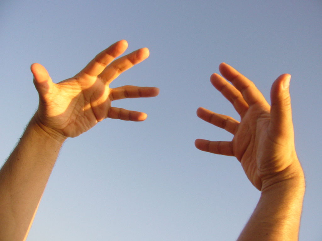 User Interface Software And Technology - Hand-Based Input