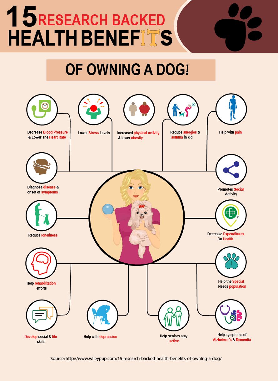 15 Research Backed Health Benefits to Owning A Dog | FitBark