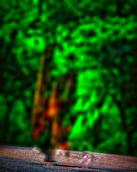 Green Nature CB Blur Background HD For Editing | KREditings