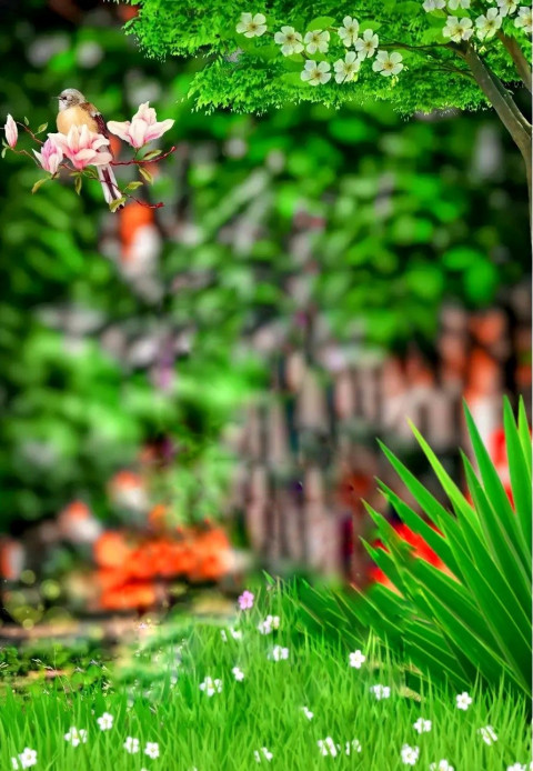 Nature New Viral CB Background HD For Photo Editing | KREditings