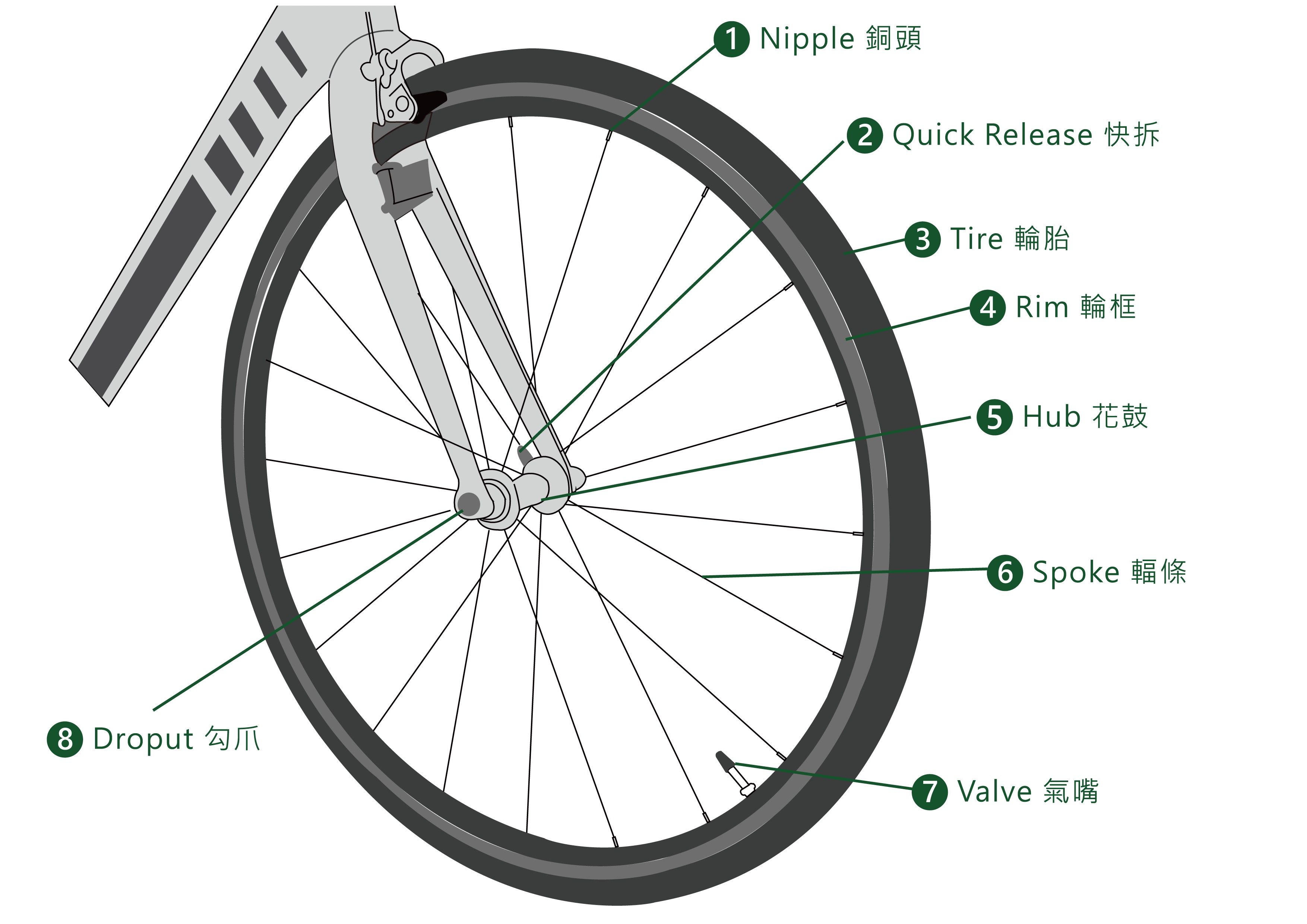 Parts Of A Bike Frame Labelled Diagram - Infoupdate.org