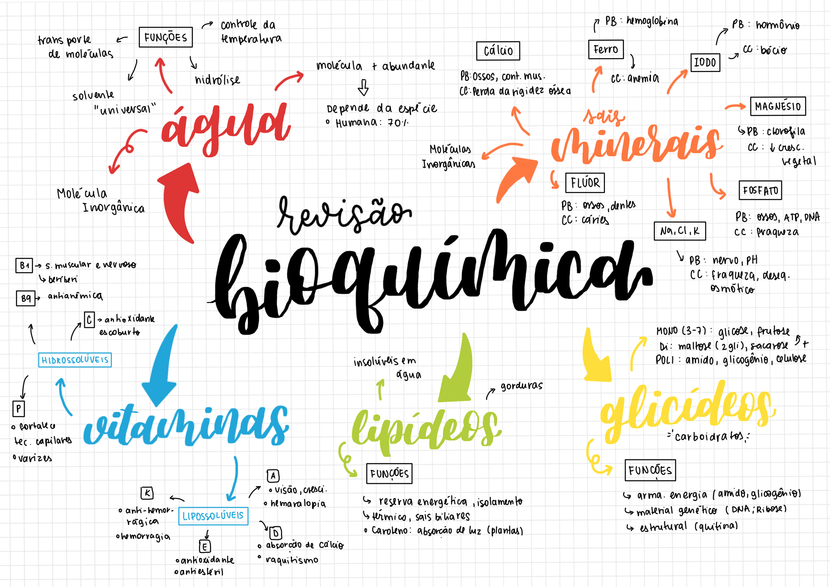 Mapa Mental De Bioquimica - FDPLEARN