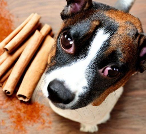 Can Dogs Eat Cinnamon? A Closer Look At The Benefits And Risks - FitNTip