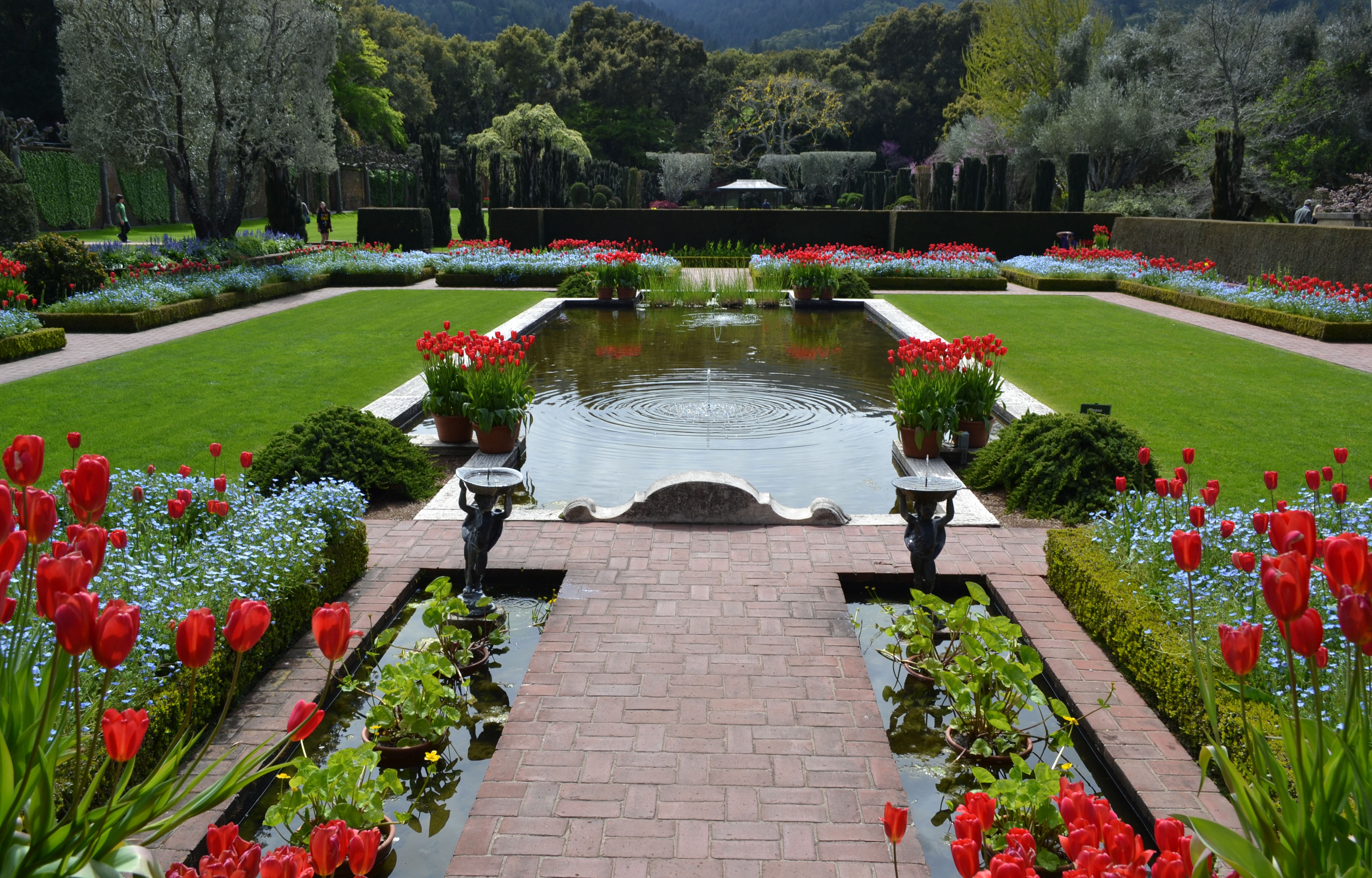 Garden Beauties | floralove