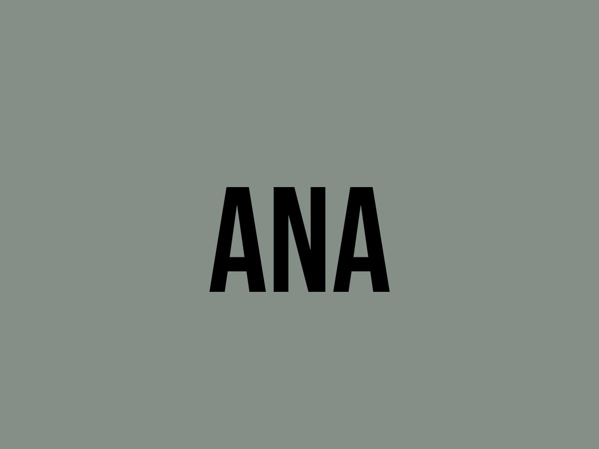 What Does Ana Mean? - Meaning, Uses And More - FluentSlang