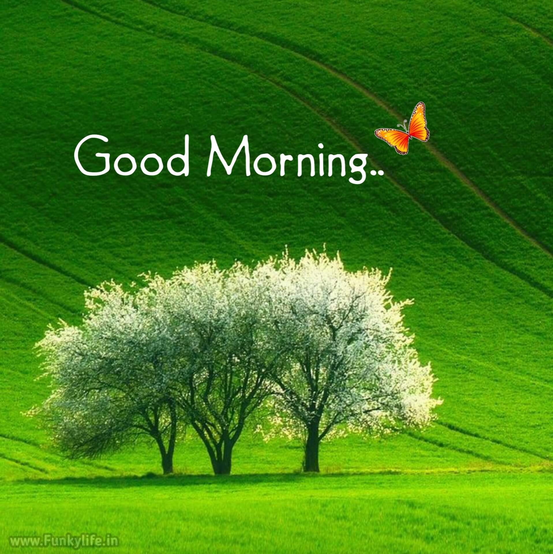 Good Morning, World! Your Daily Dose of Inspiration and News
