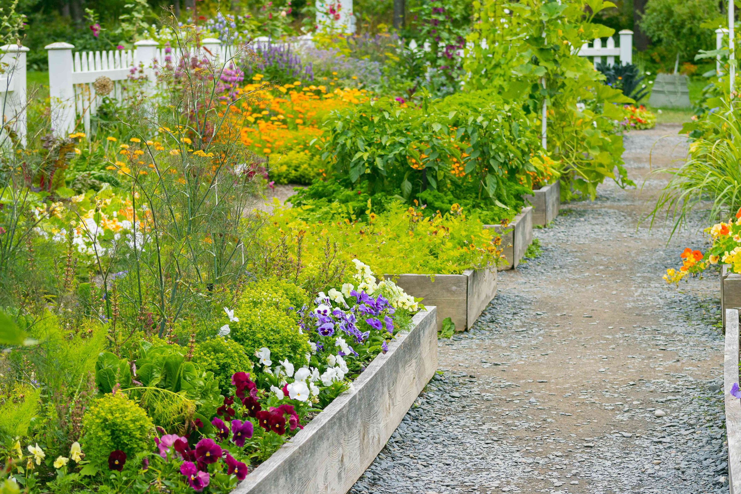 Tips For Proficient Looking Garden Plan - Garden Liff