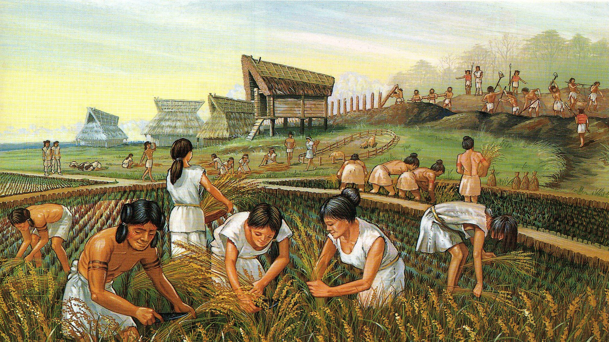 Which Came First, Intensive Agriculture Or Complex Society? - Genetic Literacy Project
