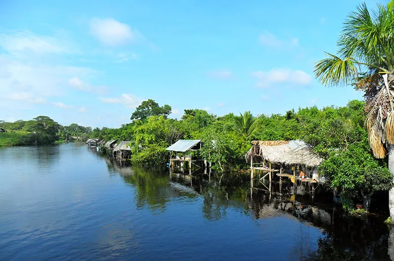 Orinoco (río) – Planeta Favorito
