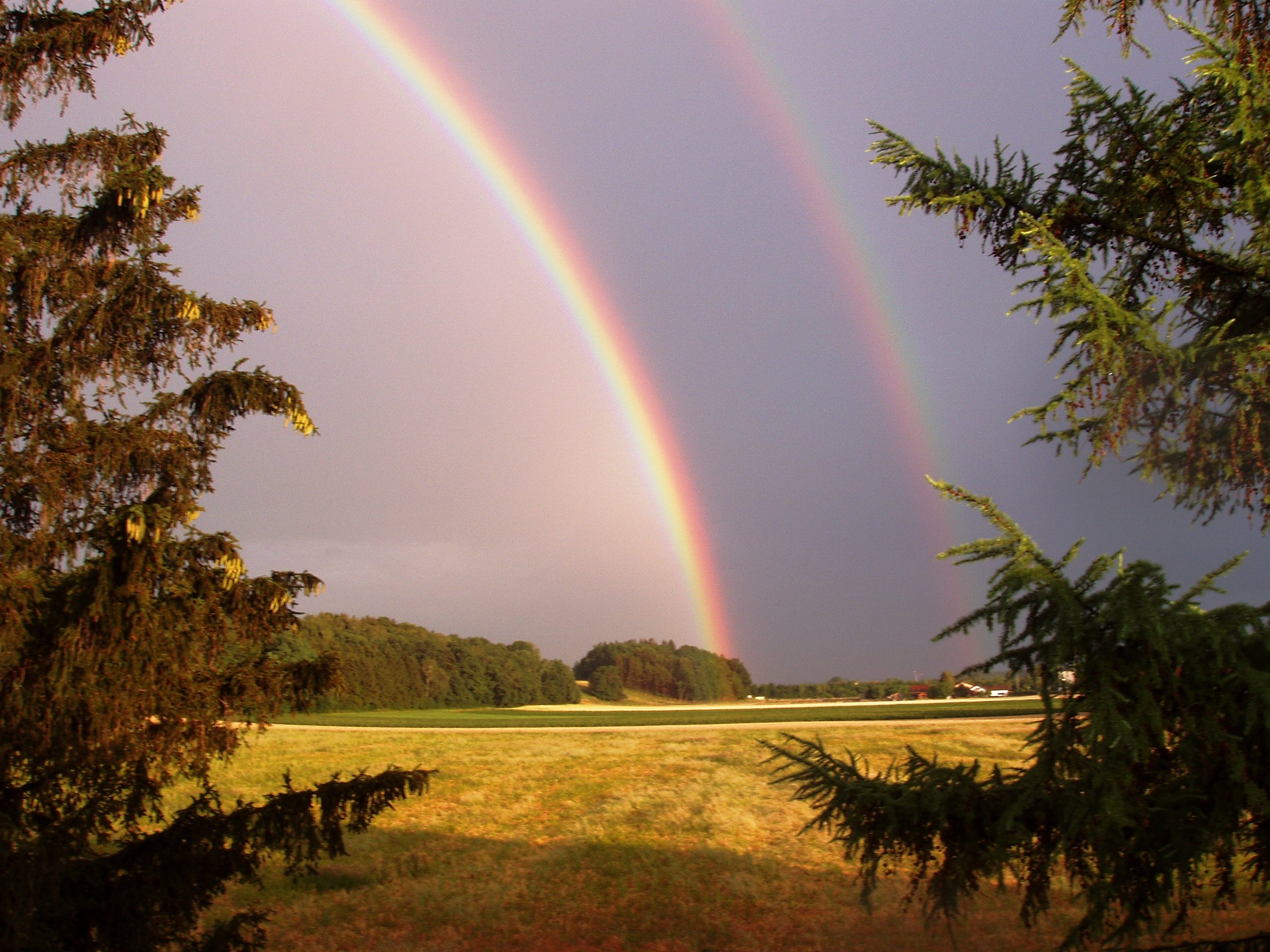 Images Of Rainbows