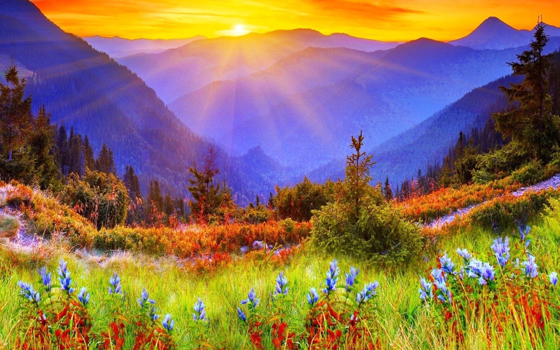 Wallpaper : 1920x1200 px, flowers, landscape, nature 1920x1200 - goodfon - 1087341 - HD ...