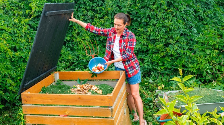 How To Use Compost As Fertilizer For Your Lawn - Global Ideas