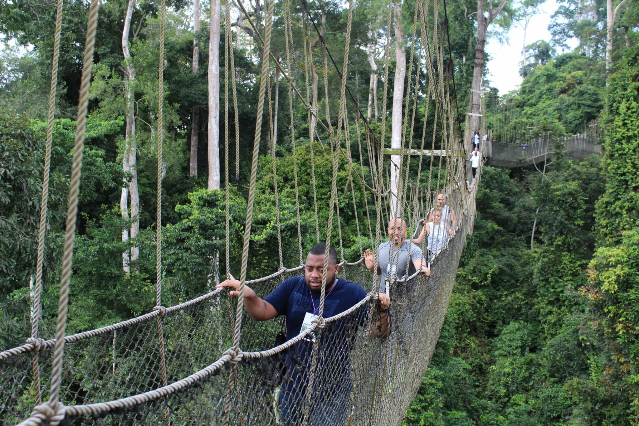 Kakum National Park (Cape Coast) - Contact Info & More | Gold Coast XP