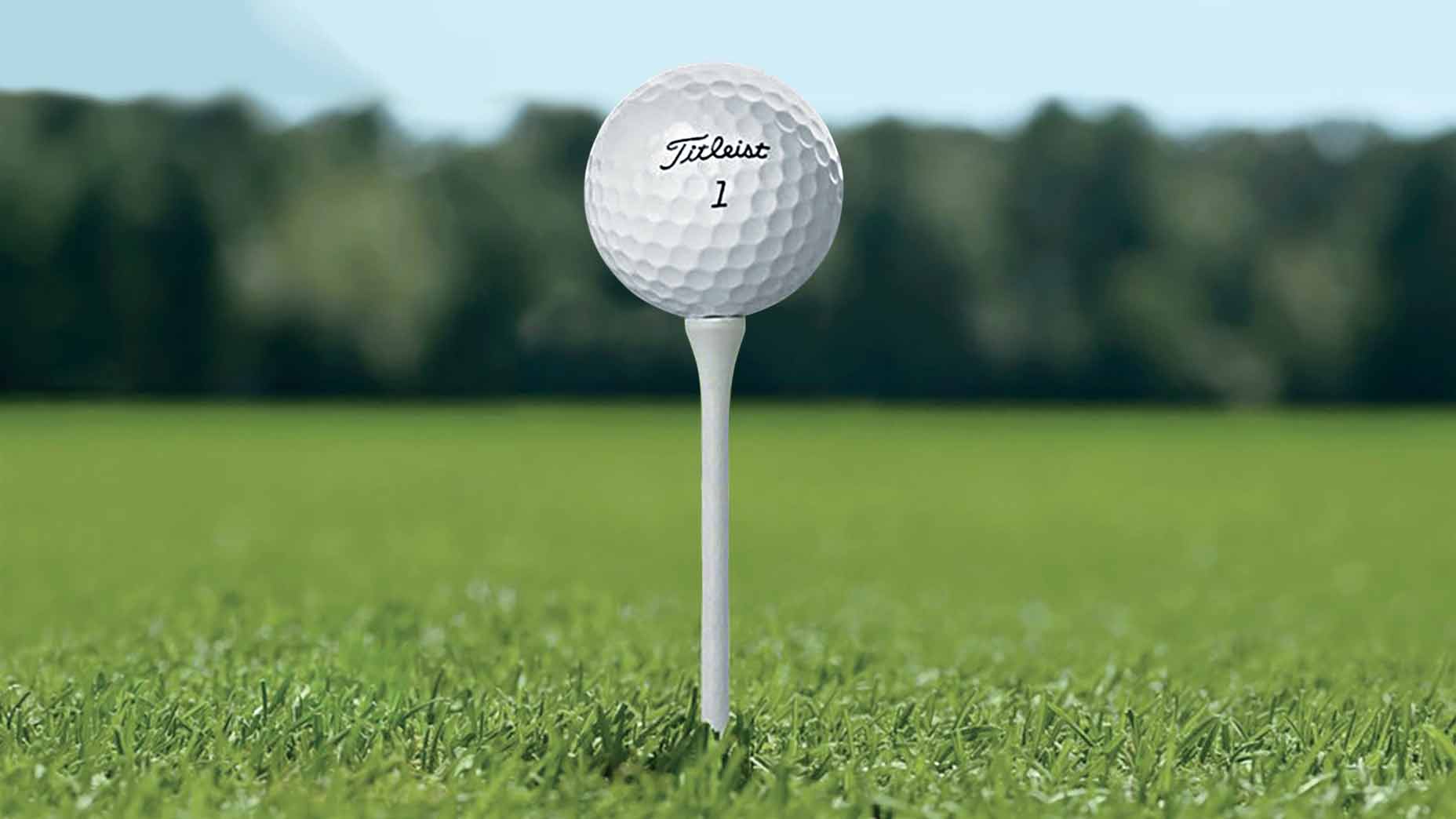 Fackeln Desinfektionsmittel Partner Golf Tea Länglich Perth Depression