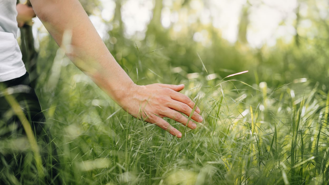 Touching Grass: What It Means And How To Do It| Mashable